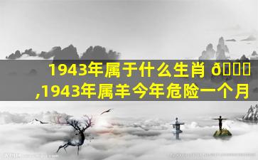 1943年属于什么生肖 🍁 ,1943年属羊今年危险一个月